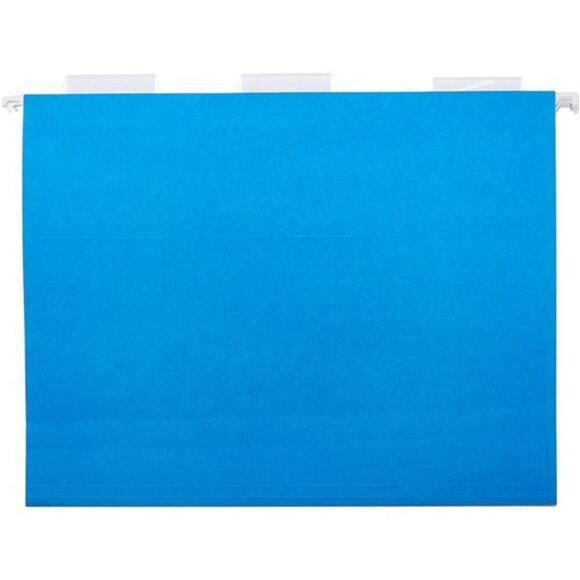 Basics Hanging Organizer File Folder Letter Size Assorted Colors (Pack of 25) - Picture 2 of 7